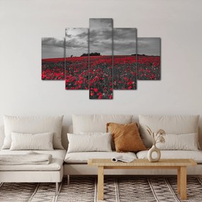 Obraz vlčích makov (150x105 cm)