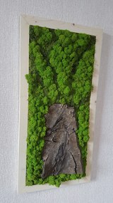 Machový obraz s prírodnou kôrou 100cm x 45cm