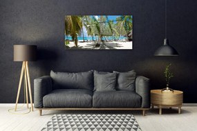 Obraz plexi Pláž palma stromy príroda 100x50 cm
