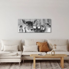 Obraz - Jelenča, čiernobiela (120x50 cm)