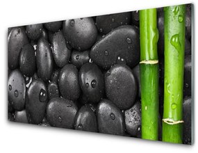 Obraz plexi Bambus stonka kamene 100x50 cm
