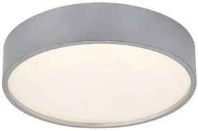 Rabalux 75010 - LED Stropné svietidlo LARCIA LED/18W/230V IP44 4000K strieborná
