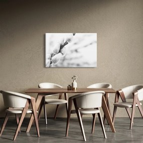Obraz - Začiatok jari (90x60 cm)
