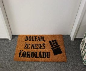 Home Elements Rohožka Dúfam, že nesieš čokoládu