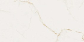Dlažba Finezza Oro Pulido 60x120 R