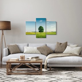 Obraz stromu na lúke (90x60 cm)