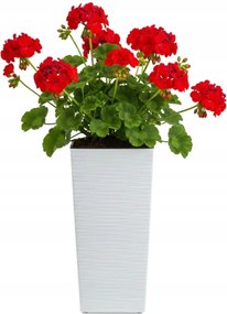 Sada 3 ks květináčů Porto Riflo 57x29,5/46x24,7/36,6x18,9 cm bílá