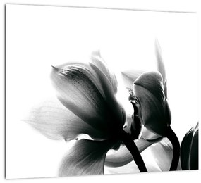 Obraz čiernobielych kvetov