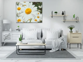 Gario Diamantové maľovanie Kopretiny Rozmery: 50 x 40 cm, Rámovanie: S vnútorným rámom, Diamanty: Okrúhle