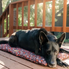 Hnedý cestovný pelech pre psa 50x75 cm Outdoor Chill Pad Mocha M – P.L.A.Y.
