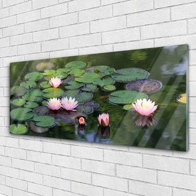 Obraz plexi Vodné lilie rybník príroda 125x50 cm