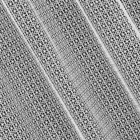 ZÁVES NA KRÚŽKOCH LARA 140X250 CM BIELA