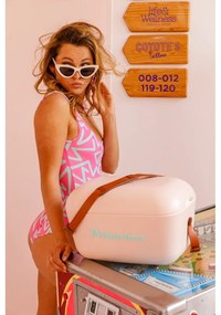 Chladiaci box staroružový 20 l Classic – Polarbox