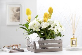 BAMA Bednička plastová TINA 2 hnedá