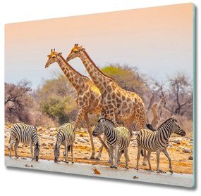 Sklenená doska na krájanie Žirafy a zebry 60x52 cm