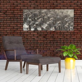 Obraz - Stádo pakoňov (120x50 cm)
