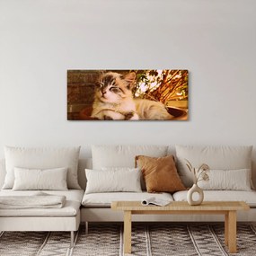 Obraz mačky v kvetináči (120x50 cm)