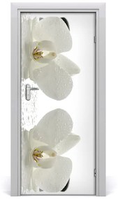 Fototapeta samolepiace Orchidea a kamene 75x205 cm