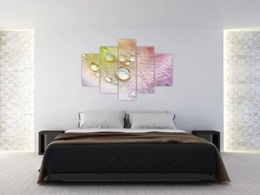 Obraz - Kvapky rosy (150x105 cm)