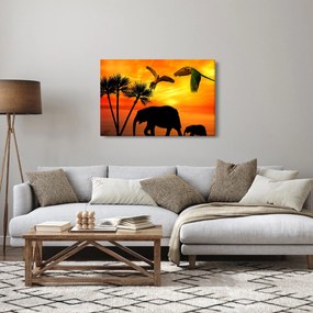 Obraz - papagáje a slony (90x60 cm)