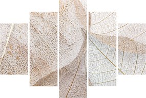 Obraz - Béžové listy (150x105 cm)