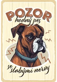 Ceduľa BU20050 20x30 cm Pozor pes