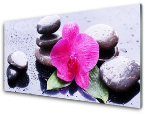 Sklenený obklad Do kuchyne Kvet kamene umenie 140x70 cm