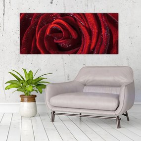 Obraz - Červená ruža s kvapkami rosy (120x50 cm)