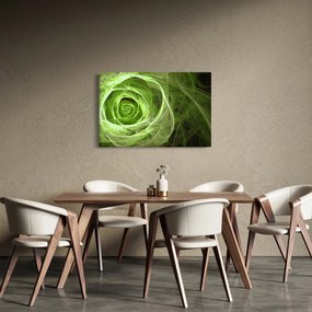 Obraz - Abstraktné ruže zelená (90x60 cm)