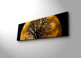 Obraz s led osvetlením Ledda Night 90x30 cm