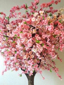 Kvitnúci strom- Japonská čerešňa 180 cm