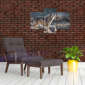 Obraz - Vyjúci vlk (90x60 cm)