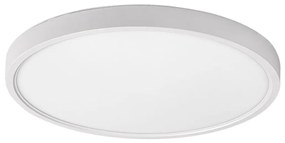 Rabalux 71073 - LED Stropné svietidlo PAULOS LED/24W/230V 4000K pr. 30 cm biela RL71073