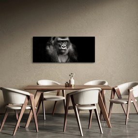 Obraz - Gorila (120x50 cm)