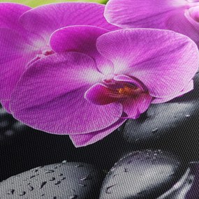 Obraz - Orchidey (90x60 cm)