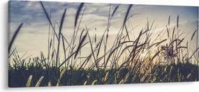 Obraz lúčnych kvetov (120x50 cm)