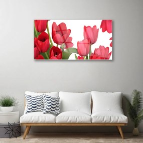 Skleneny obraz Tulipány kvety rastlina 100x50 cm