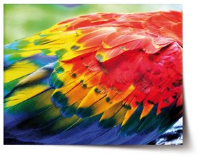 Sablio Plagát Farebné perie 2 - 90x60 cm