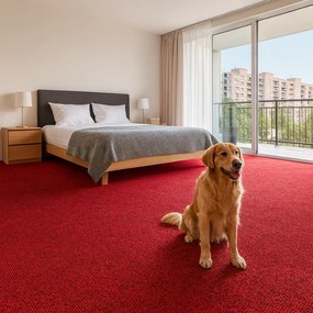 Ideal, Koberec metráž Efekt 5180, na mieru, šíře 5m, červená, filc, chodba / predsieň