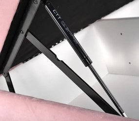 Čalúnená posteľ Viva 200X120, ružová (AN 5965)