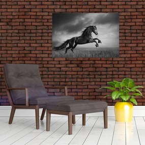 Obraz - Kôň čiernobiely (90x60 cm)