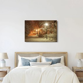 Obraz - Zasnežený park (90x60 cm)