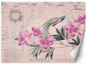 Gario Fototapeta Vták na ružovej vetve - Andrea Haase Materiál: Vliesová, Rozmery: 200 x 140 cm