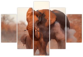 Obraz - Veľký slon africký (150x105 cm)