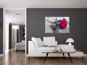 Obraz - Ružová ruža (90x60 cm)