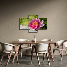 Obraz - Lekno (90x60 cm)