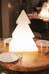 Vianočná stojaca lampa biela 40 cm vrátane solárneho a nabíjateľného LED RGBW - Pinus