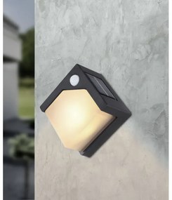 Globo 36480 - LED Solárne svietidlo so senzorom SOLAR LED/0,48W/3V IP44