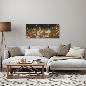 Obraz - Lúka s cottongrass N⁰2 (120x50 cm)