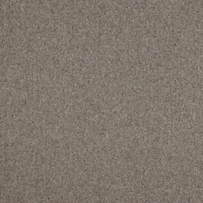 Avanti, AKCIA: 100x300 cm Metrážny koberec Dublin 907 hnedý, šíře, hnedá, ab (mriežka), chodba / predsieň